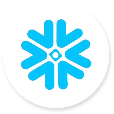 Cover image of Snowflake