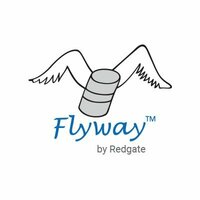 Cover image of Flyway